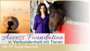 Access Foundation auf dem Pferdehof Sonja Neuroth Pferde