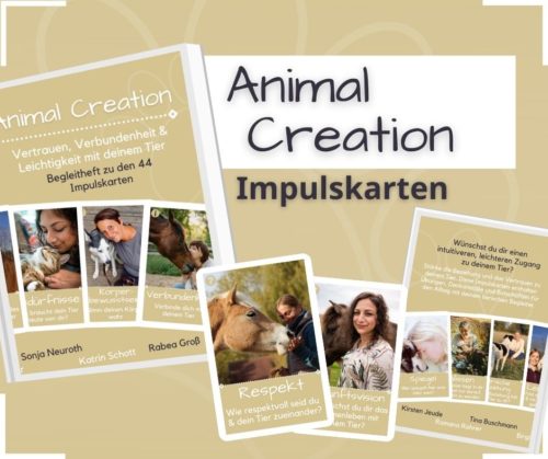 Tierorakel Animal Creation Impulskarten