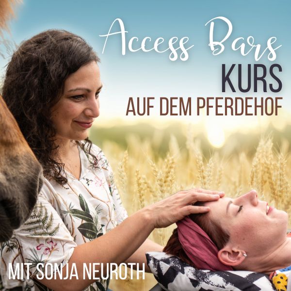 Access Bars Kurs pferdehof